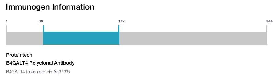 B4GALT4 Polyclonal Antibody