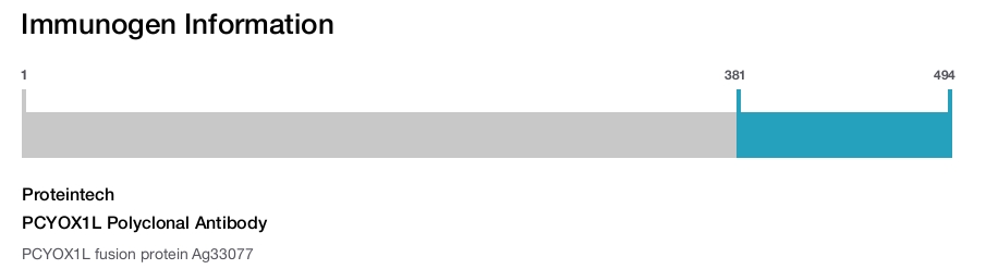 PCYOX1L Polyclonal Antibody