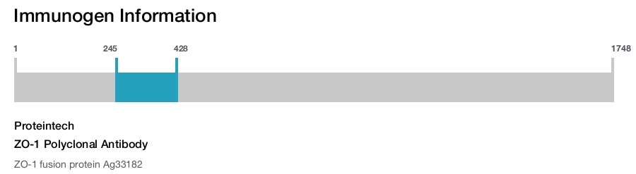 ZO-1 Polyclonal Antibody