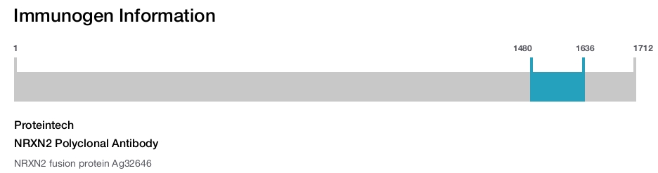 NRXN2 Polyclonal Antibody