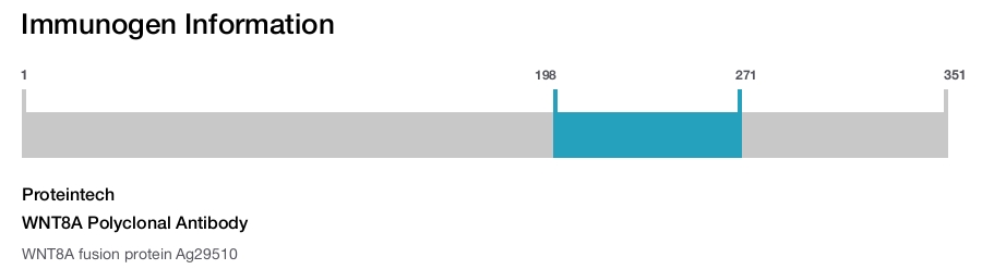 WNT8A Polyclonal Antibody