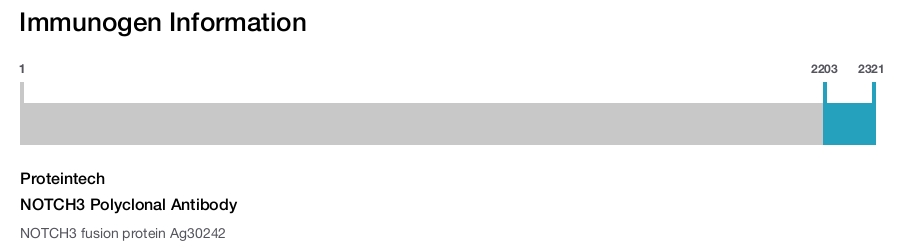 NOTCH3 Polyclonal Antibody