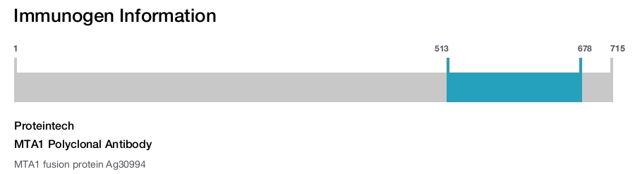 MTA1 Polyclonal Antibody