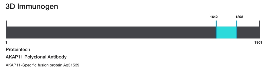 AKAP11 Polyclonal Antibody