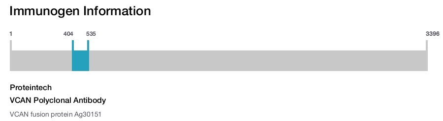 VCAN Polyclonal Antibody