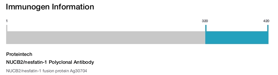 NUCB2/nesfatin-1 Polyclonal Antibody