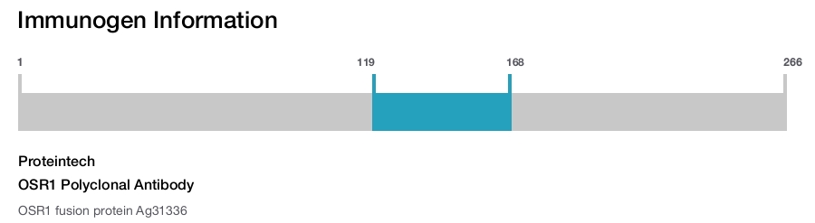 OSR1 Polyclonal Antibody