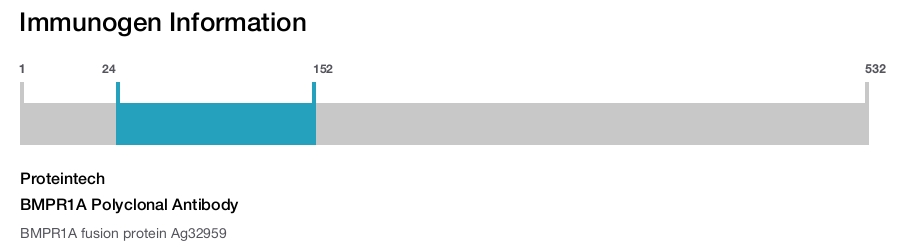 BMPR1A Polyclonal Antibody