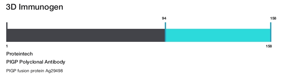PIGP Polyclonal Antibody