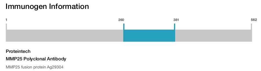 MMP25 Polyclonal Antibody