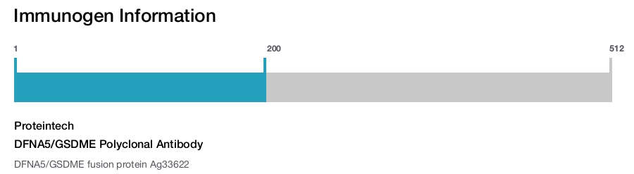 DFNA5/GSDME Polyclonal Antibody