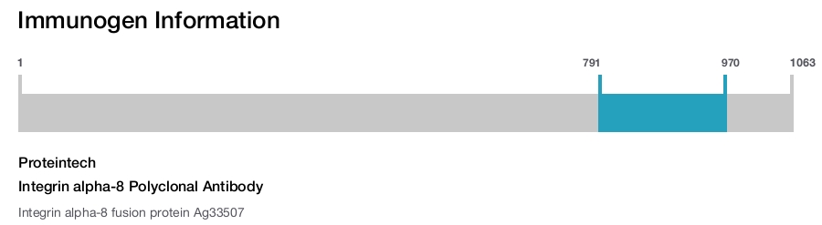 Integrin alpha-8 Polyclonal Antibody