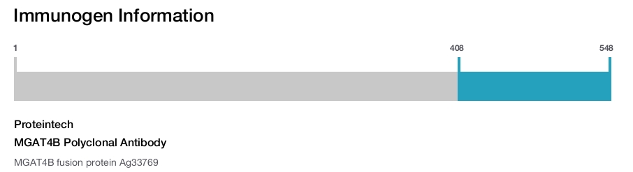 MGAT4B Polyclonal Antibody