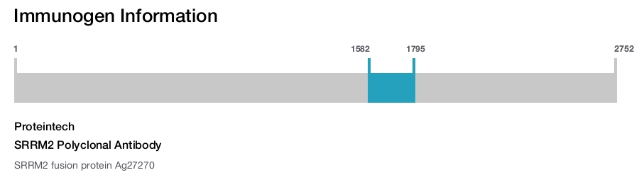 SRRM2 Polyclonal Antibody
