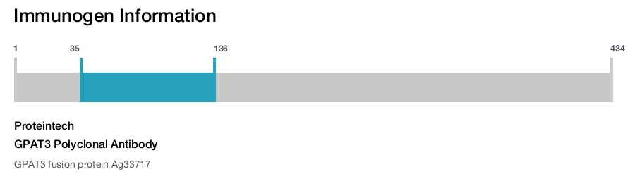 GPAT3 Polyclonal Antibody