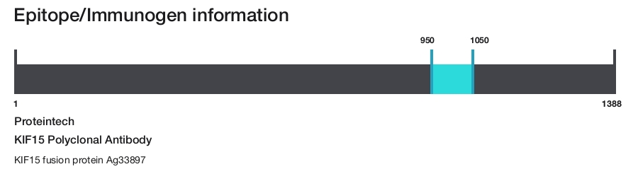 KIF15 Polyclonal Antibody