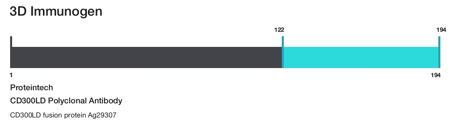 CD300LD Polyclonal Antibody