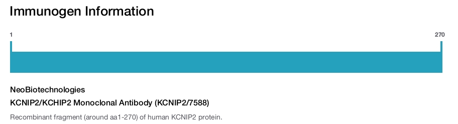 KCNIP2/KCHIP2 Monoclonal Antibody (KCNIP2/7588)