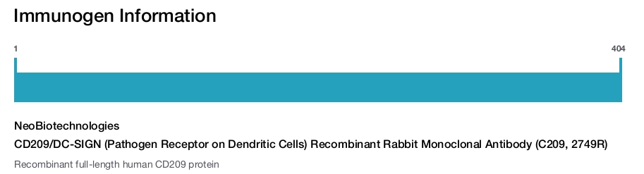 CD209/DC-SIGN (Pathogen Receptor on Dendritic Cells) Recombinant Rabbit Monoclonal Antibody (C209, 2749R)
