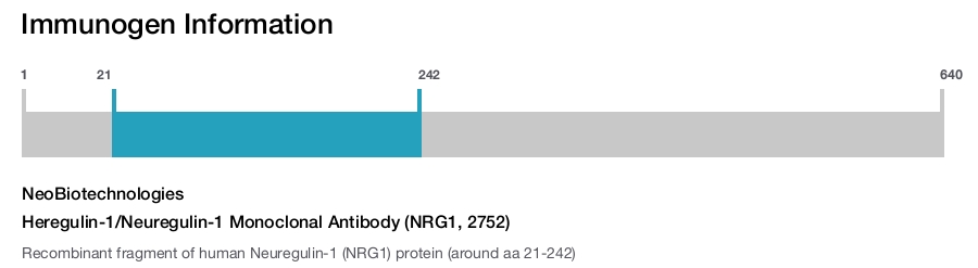 Heregulin-1/Neuregulin-1 Monoclonal Antibody (NRG1, 2752)
