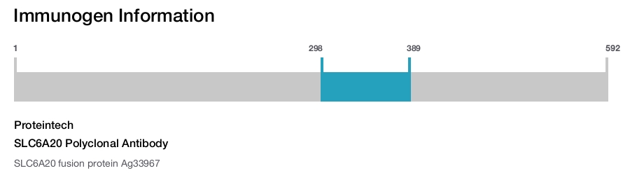 SLC6A20 Polyclonal Antibody
