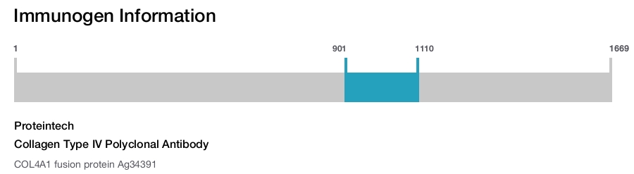 Collagen Type IV Polyclonal Antibody