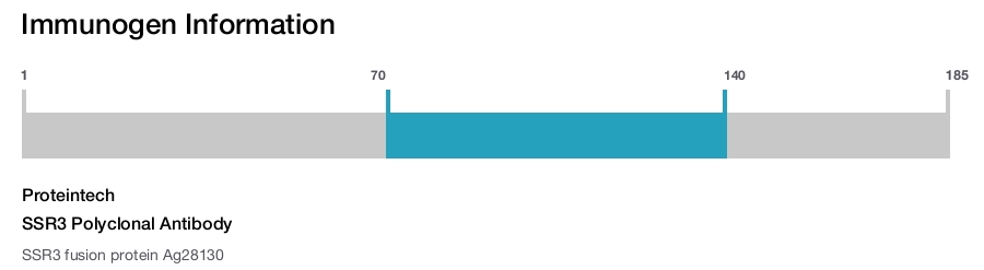 SSR3 Polyclonal Antibody