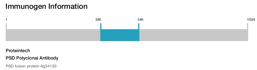 PSD Polyclonal Antibody