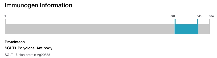 SGLT1 Polyclonal Antibody