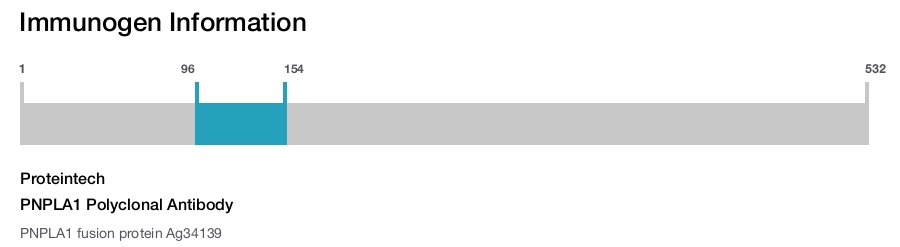 PNPLA1 Polyclonal Antibody