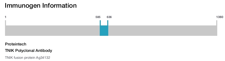 TNIK Polyclonal Antibody
