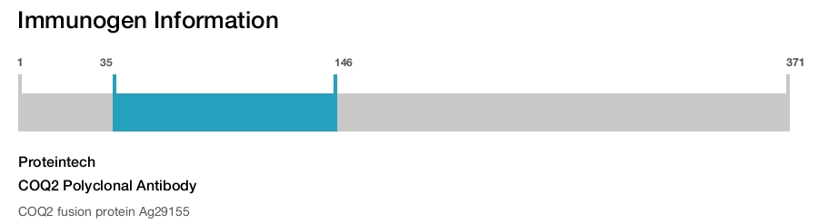 COQ2 Polyclonal Antibody