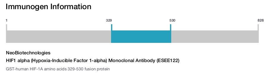 HIF1 alpha (Hypoxia-Inducible Factor 1-alpha) Monoclonal Antibody (ESEE122)