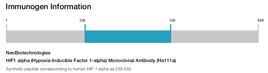 HIF1 alpha (Hypoxia-Inducible Factor 1-alpha) Monoclonal Antibody (Ha111a)