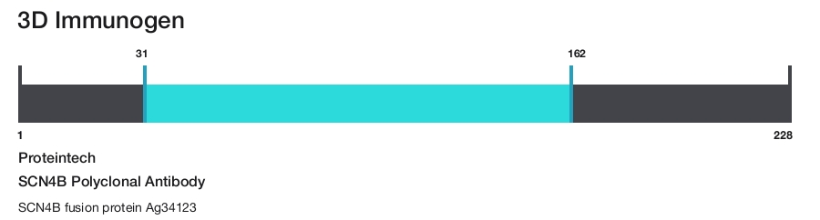 SCN4B Polyclonal Antibody