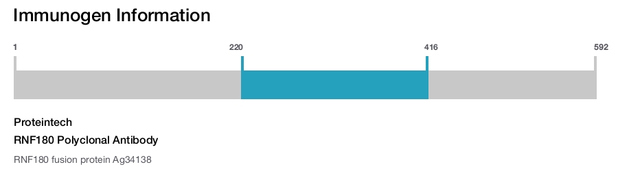 RNF180 Polyclonal Antibody