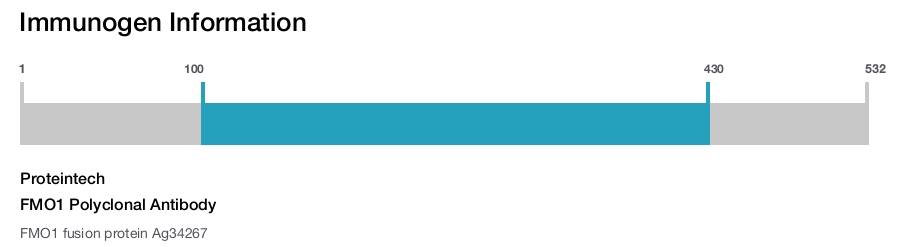 FMO1 Polyclonal Antibody