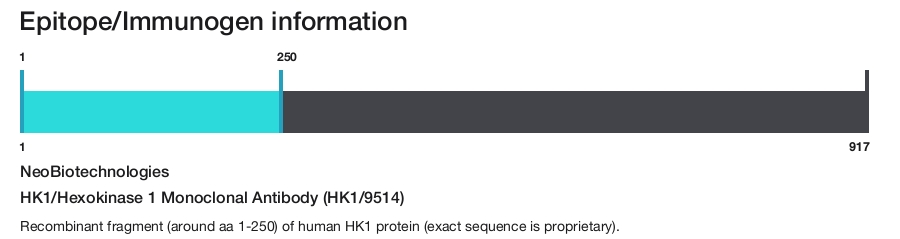HK1/Hexokinase 1 Monoclonal Antibody (HK1/9514)