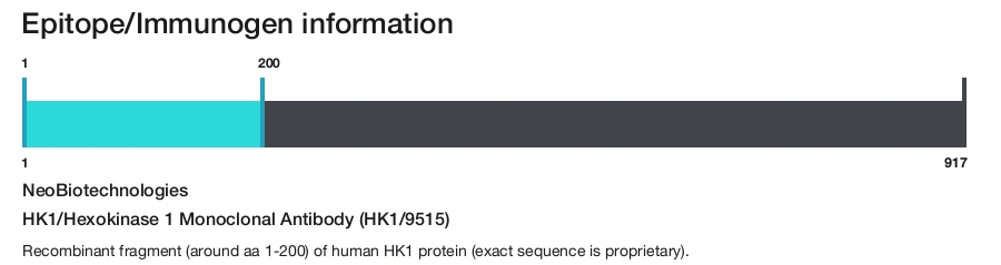 HK1/Hexokinase 1 Monoclonal Antibody (HK1/9515)