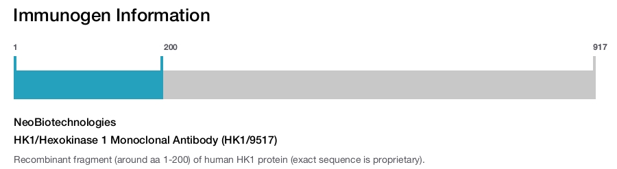 HK1/Hexokinase 1 Monoclonal Antibody (HK1/9517)