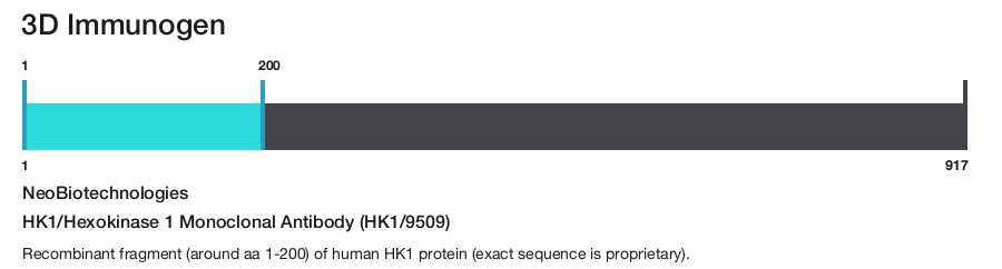 HK1/Hexokinase 1 Monoclonal Antibody (HK1/9509)