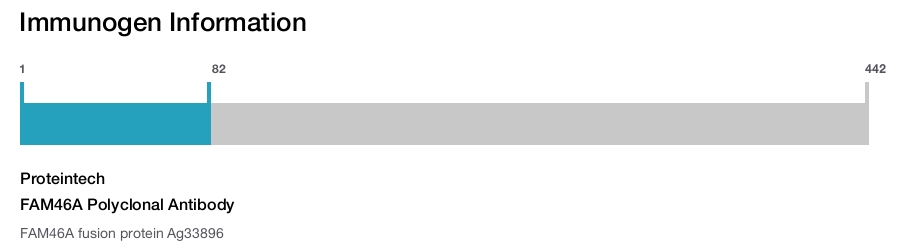 FAM46A Polyclonal Antibody