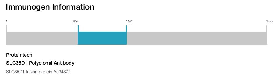SLC35D1 Polyclonal Antibody