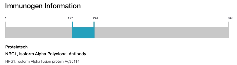 NRG1, isoform Alpha Polyclonal Antibody
