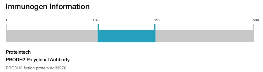PRODH2 Polyclonal Antibody