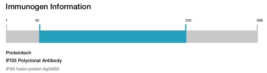 IFI35 Polyclonal Antibody