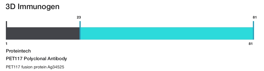 PET117 Polyclonal Antibody