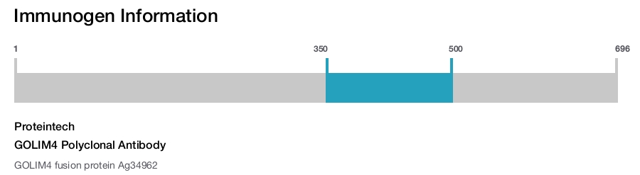 GOLIM4 Polyclonal Antibody