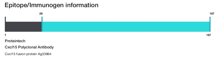 Cxcl15 Polyclonal Antibody