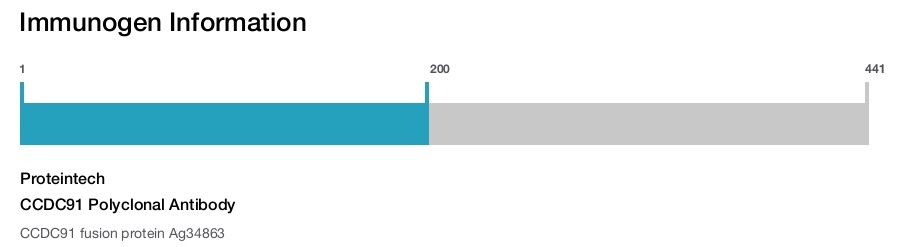 CCDC91 Polyclonal Antibody